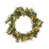 Vickerman Pre-Lit Artificial Christmas Wreath (06342)