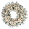 Vickerman Pre-Lit Artificial Christmas Wreath (12004)
