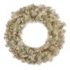 Vickerman Pre-Lit Artificial Christmas Wreath (14802)