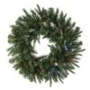 Vickerman Pre-Lit Artificial Christmas Wreath (22202)
