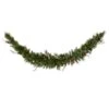 Vickerman Pre-Lit Artificial Christmas Garland (22479)
