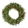 Vickerman Pre-Lit Artificial Christmas Wreath (22482)