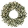 Vickerman Pre-Lit Artificial Christmas Wreath (27376)