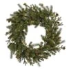 Vickerman Pre-Lit Artificial Christmas Wreath (27444)