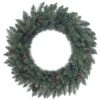 Vickerman Artificial Unlit Christmas Wreath (370346)
