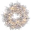 Vickerman Pre-Lit Artificial Christmas Wreath With Pine Cones (383957)