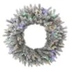 Vickerman Pre-Lit Artificial Christmas Wreath (384244)