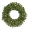Vickerman Prelit Artificial Christmas Wreath (425923)