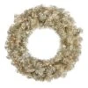 Vickerman Artificial Prelit Christmas Wreath (429082)