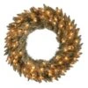 Vickerman Prelit Artificial Christmas Wreath (450239)